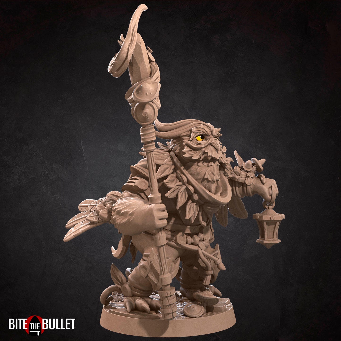 Owlfolk Druid