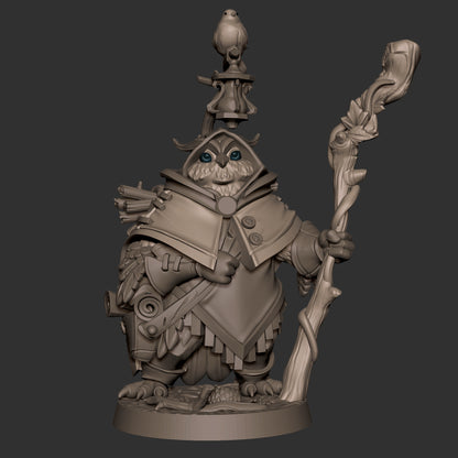 Owlfolk Druid