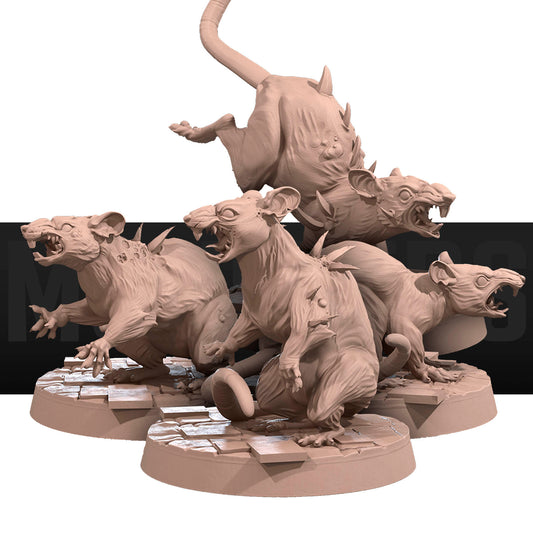 Giant Rats Pack