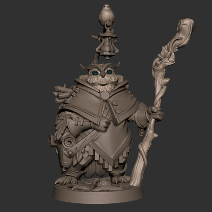 Owlfolk Druid