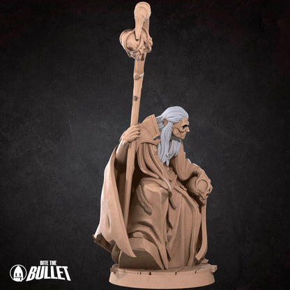 Vampire Sorcerer