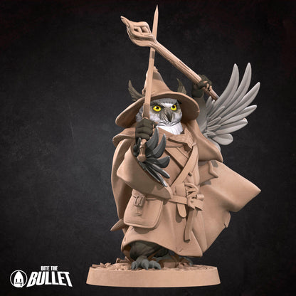 Owlfolk Explorer