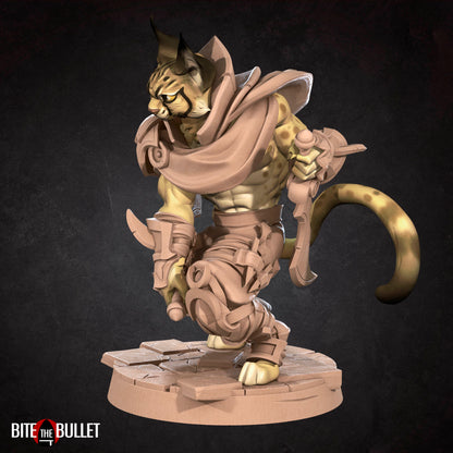 Tabaxi Rogue