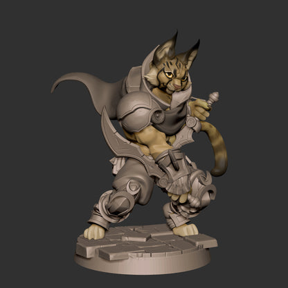 Tabaxi Rogue