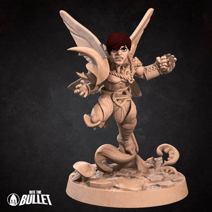 Pixie Fighter