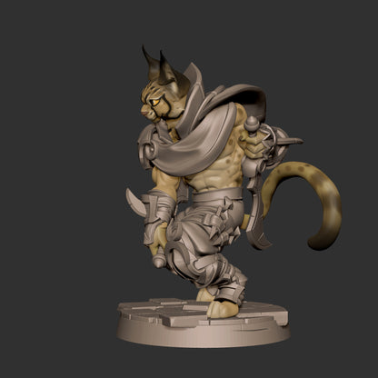 Tabaxi Rogue