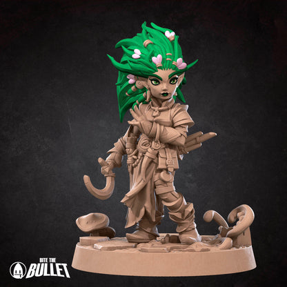 Gnome Druid