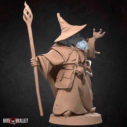 Wizard Explorer