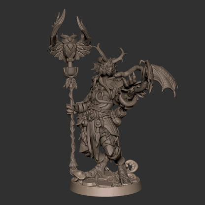 Dragonborn Druid
