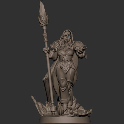 Human Mage Admiral