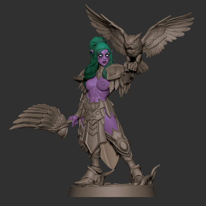 Night Warrior Priestess