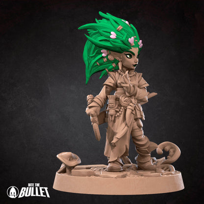 Gnome Druid