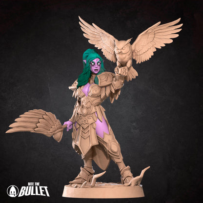 Night Warrior Priestess