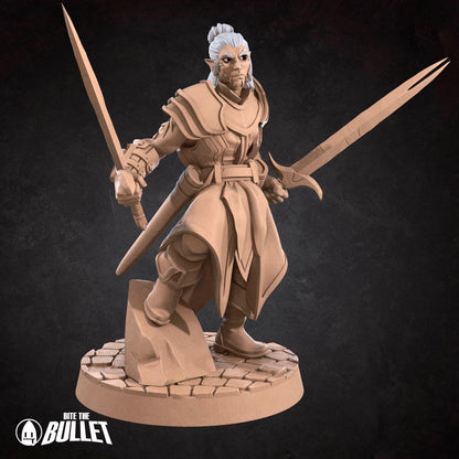 Drow Weapon Master