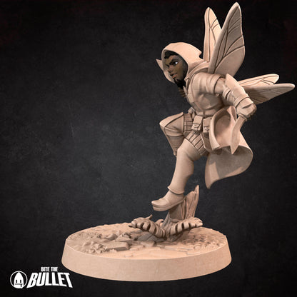 Pixie Rogue