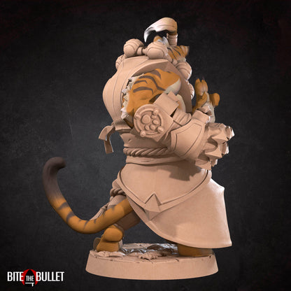 Tabaxi Monk