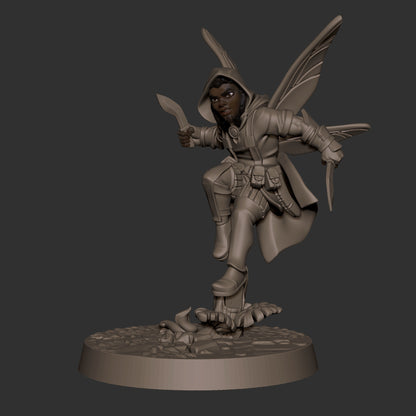 Pixie Rogue