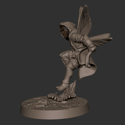 Pixie Rogue