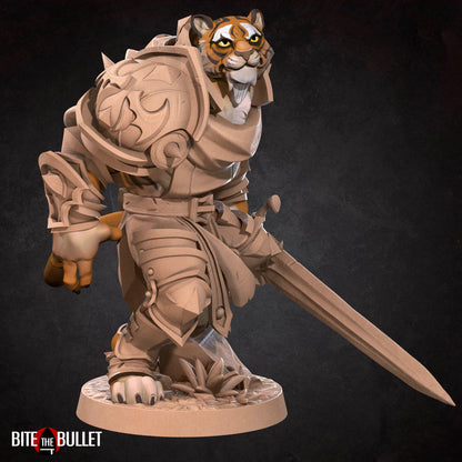 Tabaxi Paladin