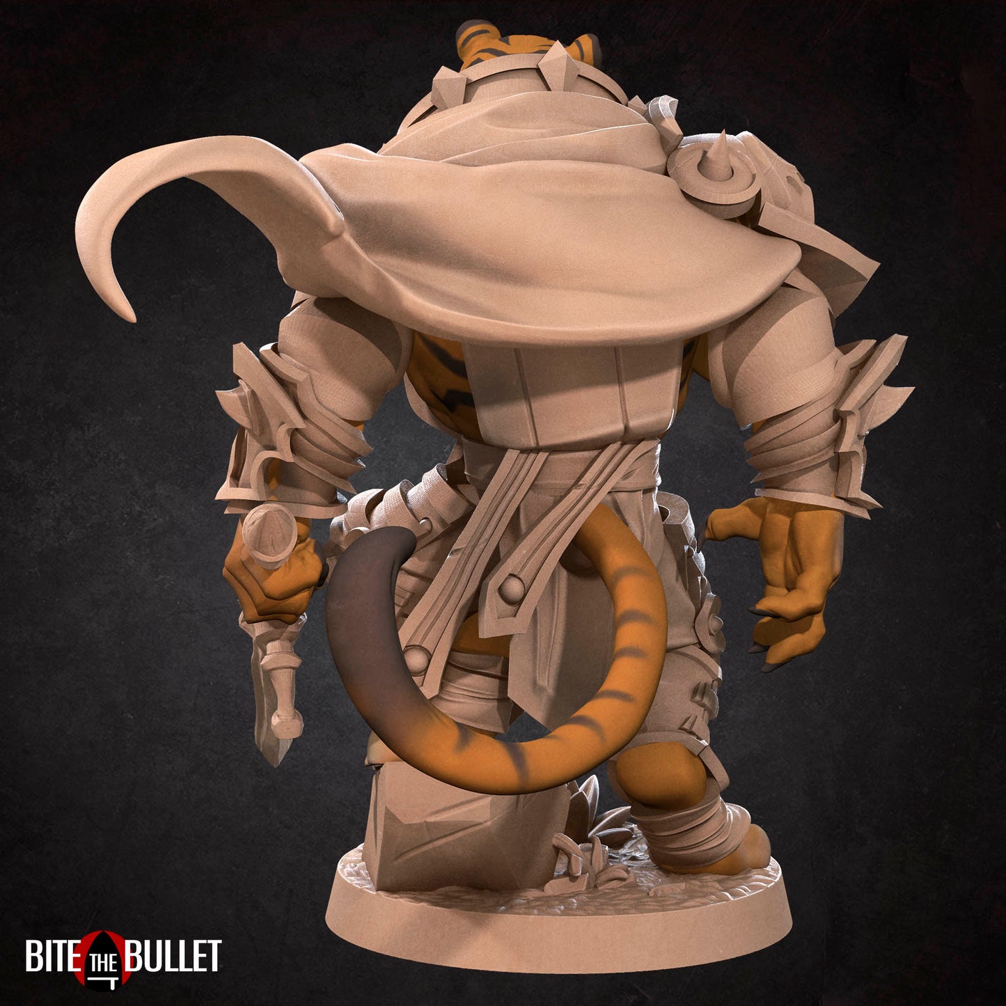 Tabaxi Paladin