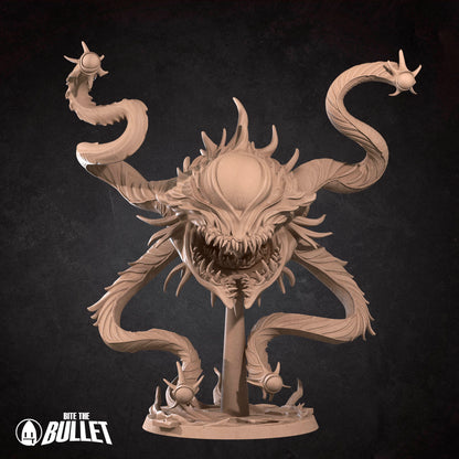 Spectator Aberration