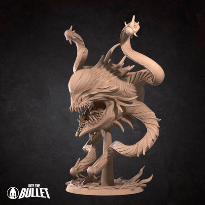 Spectator Aberration