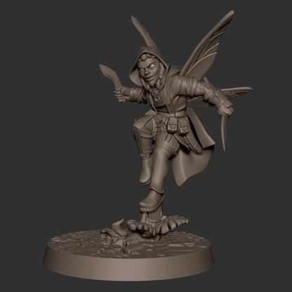 Pixie Rogue
