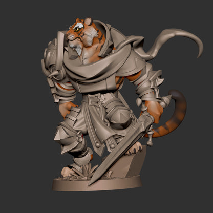 Tabaxi Paladin