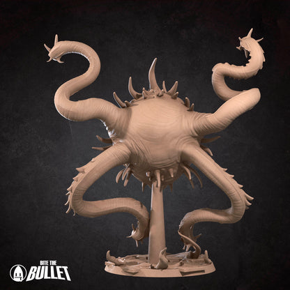 Spectator Aberration