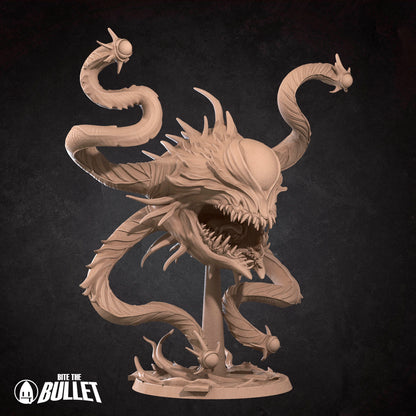 Spectator Aberration