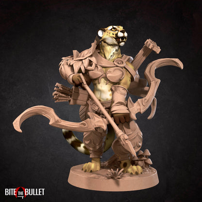 Tabaxi Battle Bard
