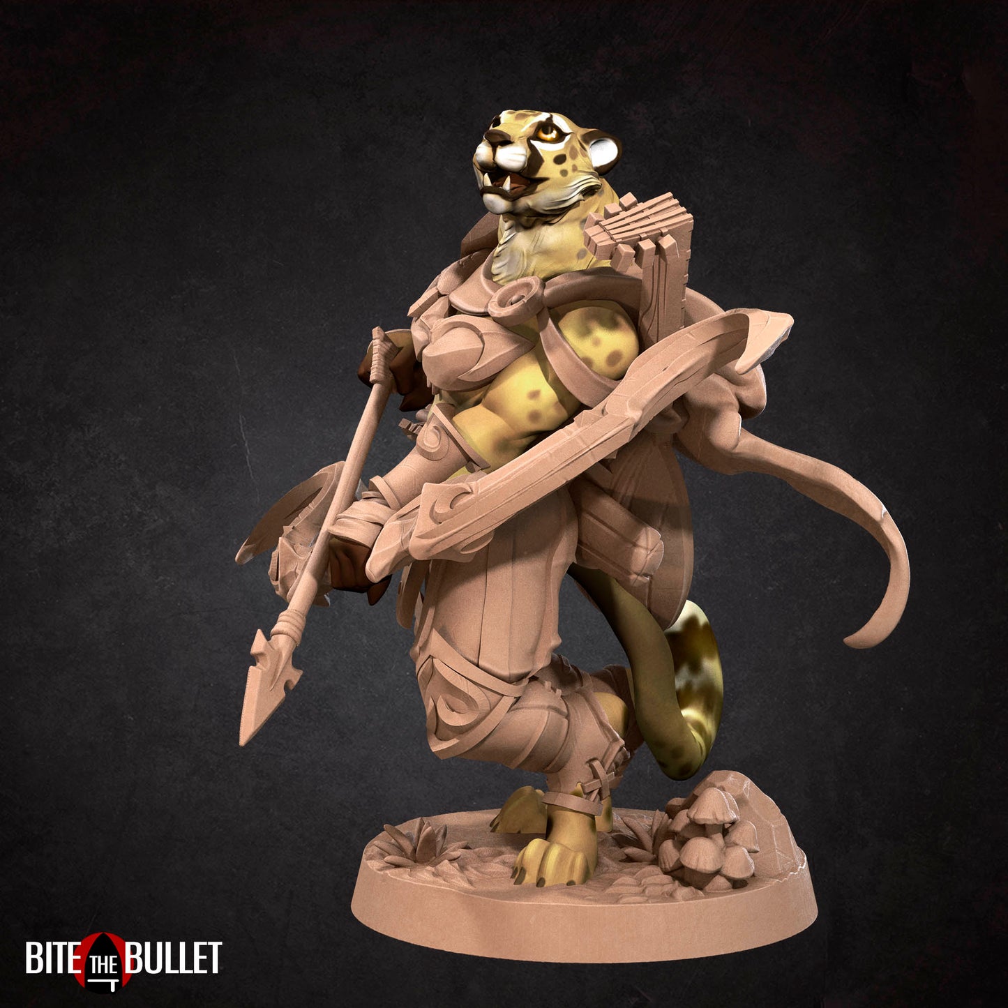 Tabaxi Battle Bard