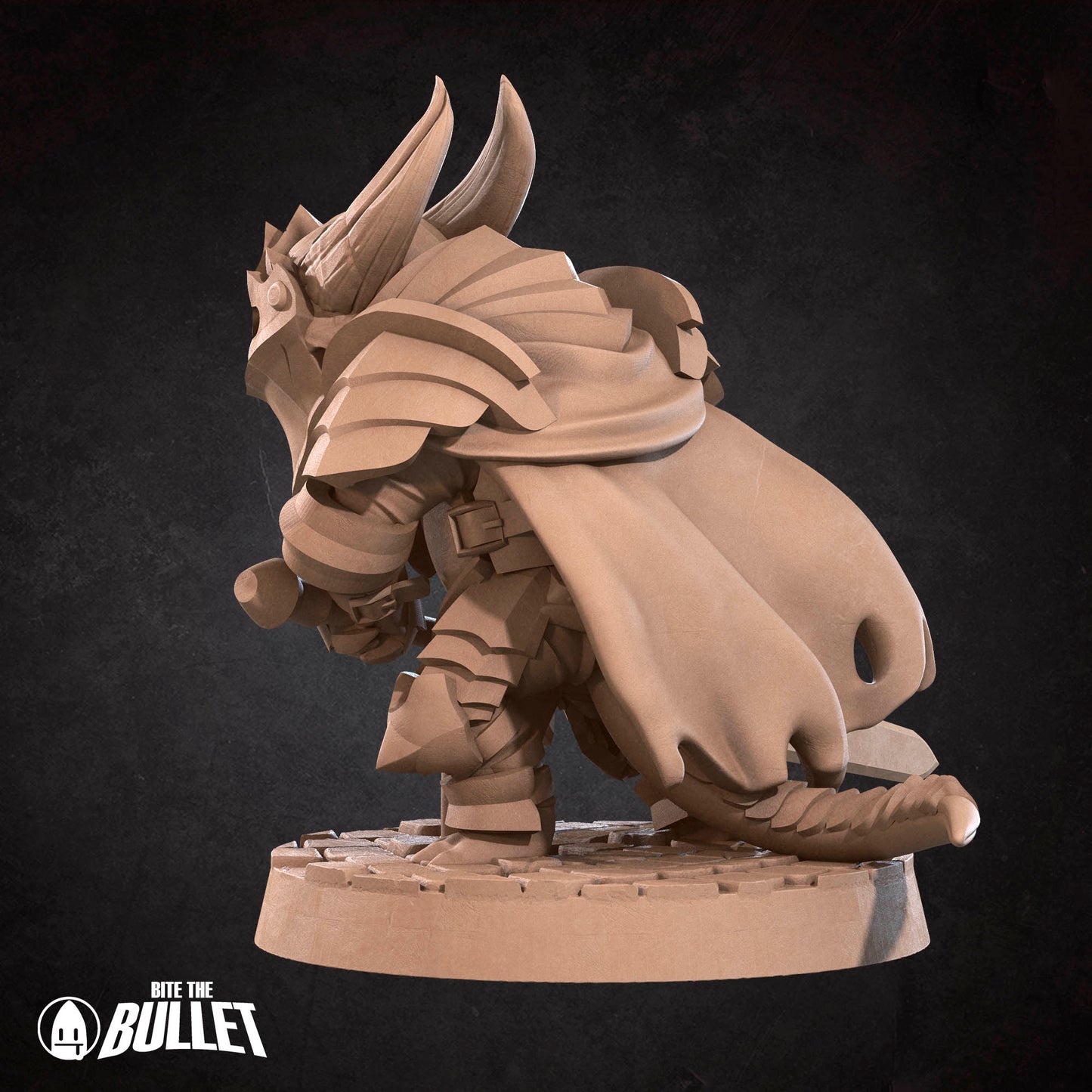 Kobold Paladin