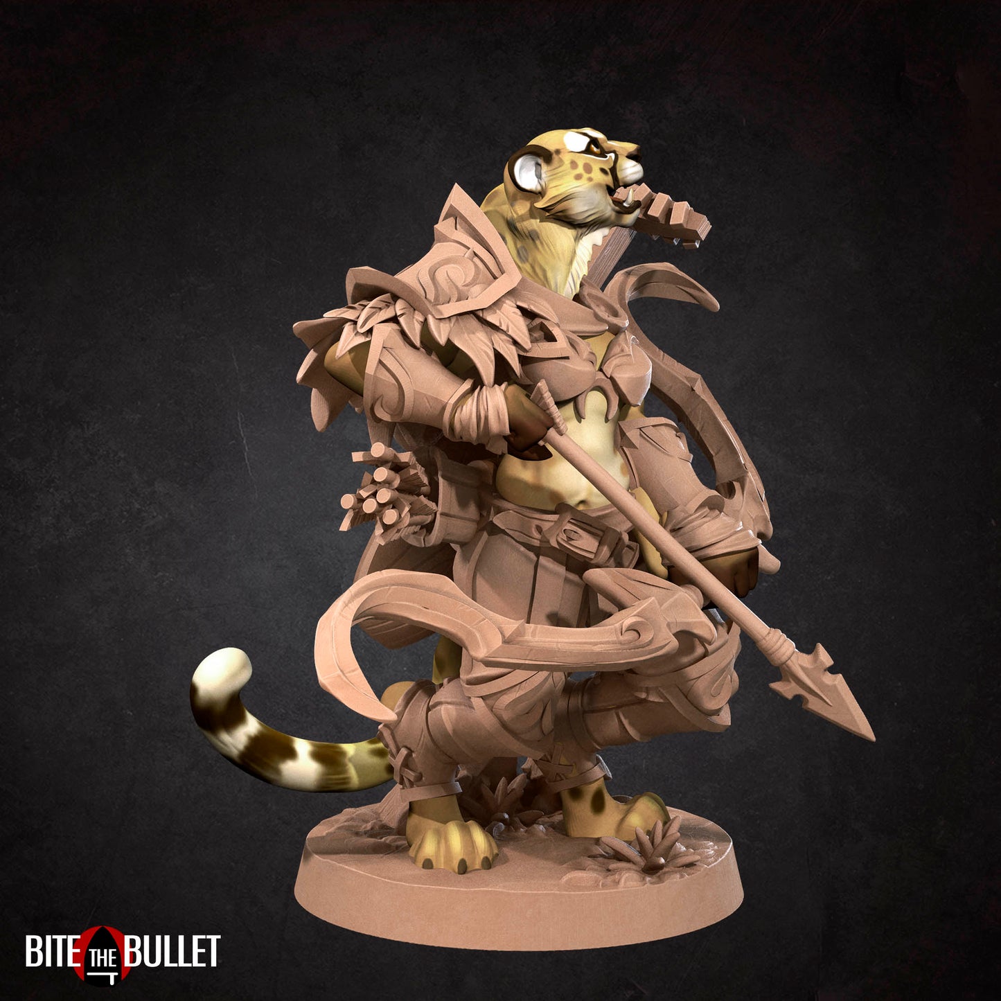 Tabaxi Battle Bard