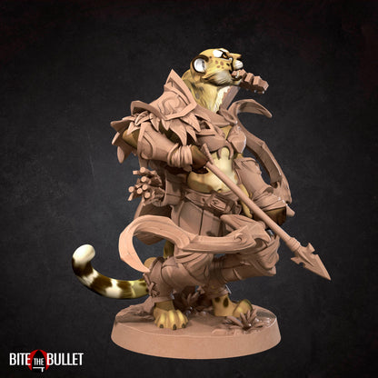Tabaxi Battle Bard