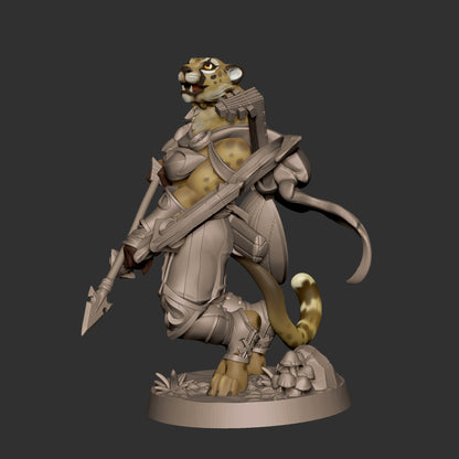 Tabaxi Battle Bard