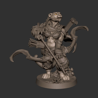 Tabaxi Battle Bard