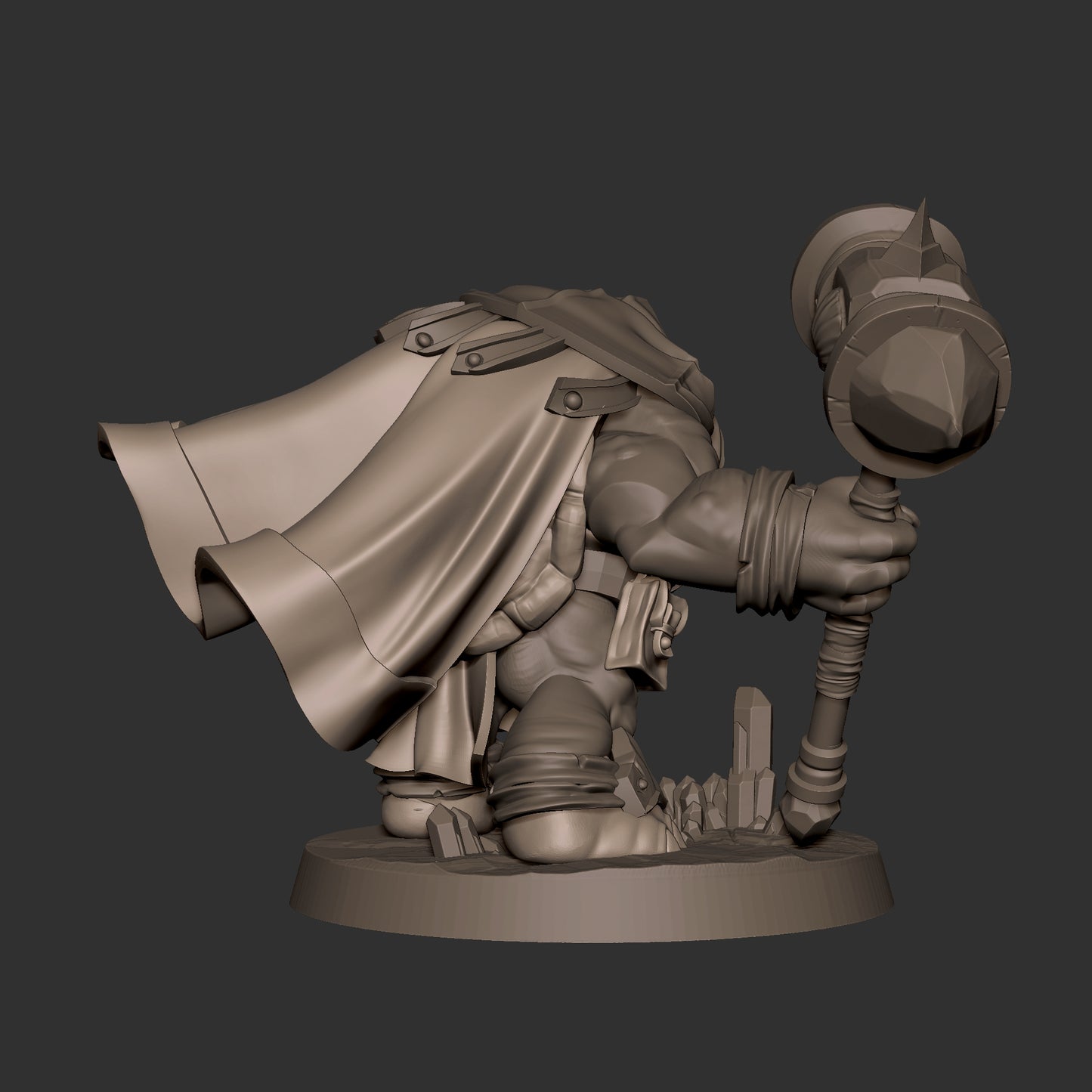 Tortle Cleric