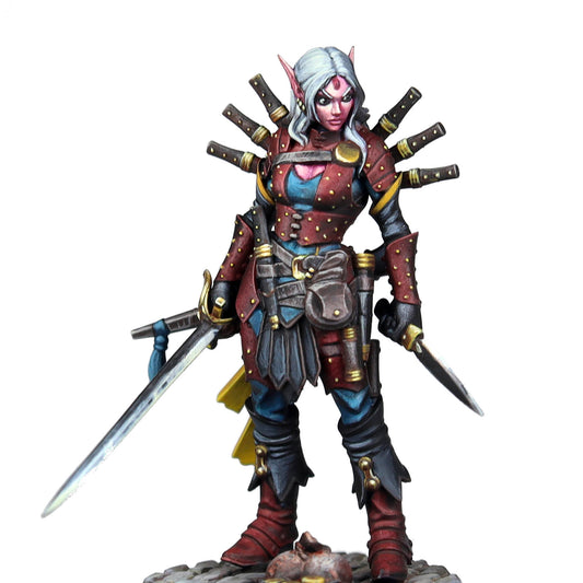 (PDF) Elf Rogue