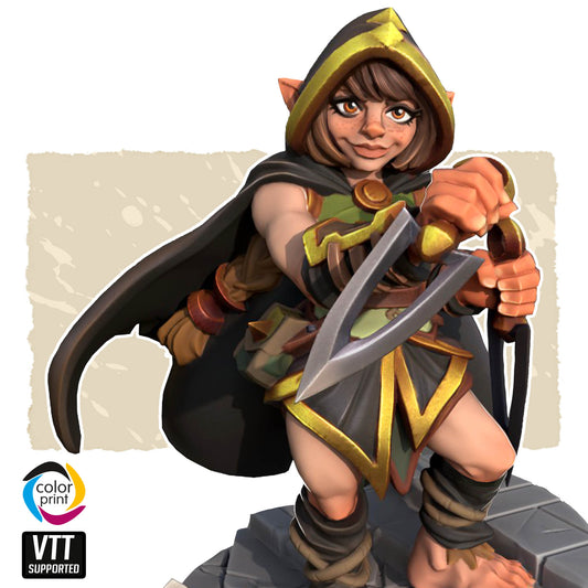 (VTT) Halfling Rogue