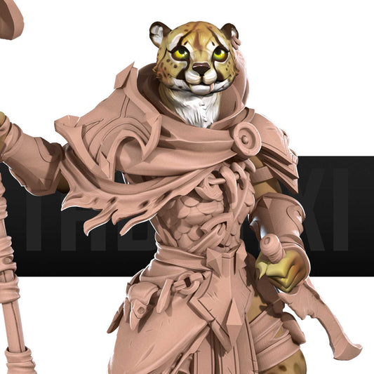 Tabaxi Ranger