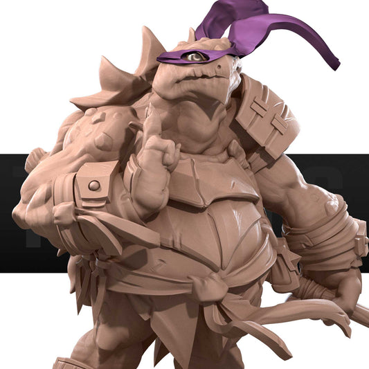 Turtle Ninja
