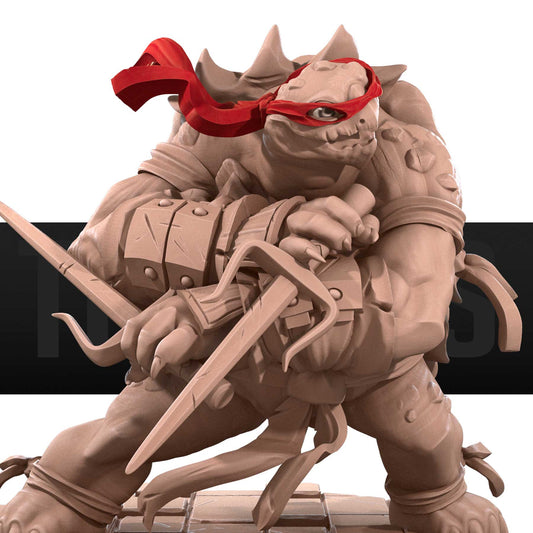 Turtle Ninja