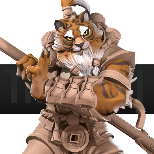 Tabaxi Monk